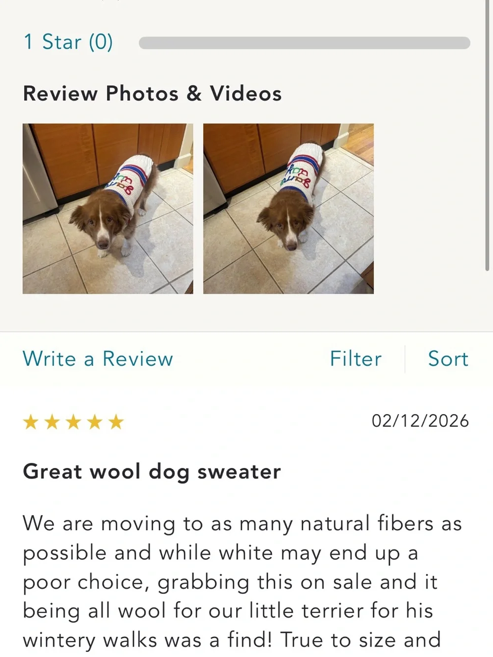 Anthropologie Cream Knit Dog Sweater with Red & Blue Stripes